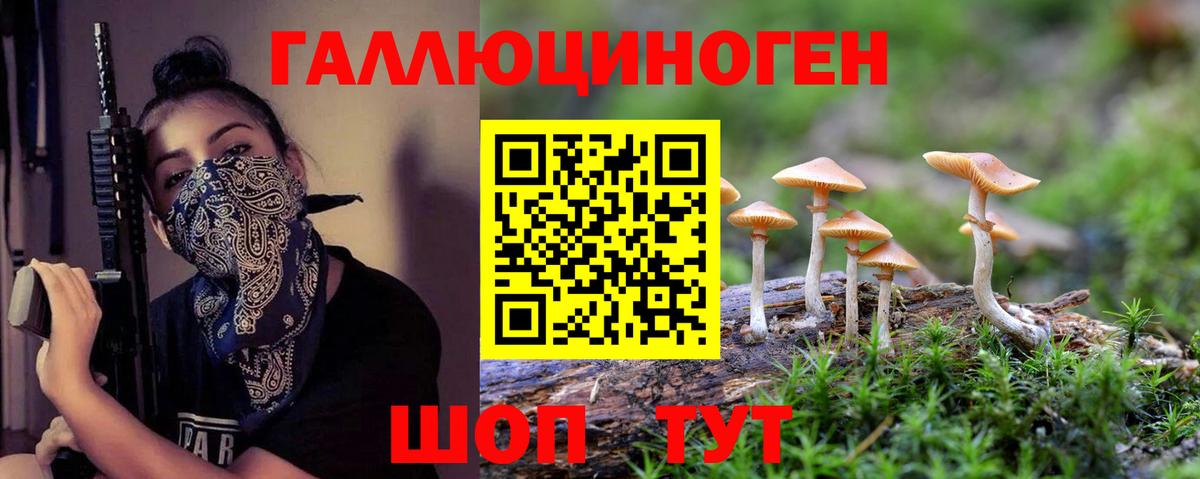 Ангарск  Галлюциногенные грибы мухоморы  Вход с VPN  Псилоцибиновые грибы Magic Shrooms 